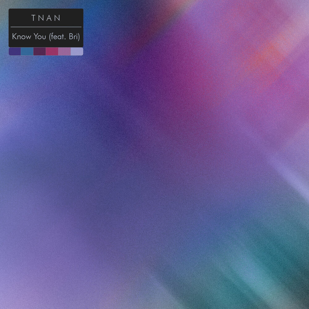 Bonfire Records Album Artwork 6